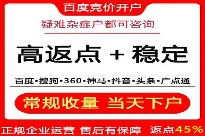 深入了解SEM代运营服务公司的策略与技巧